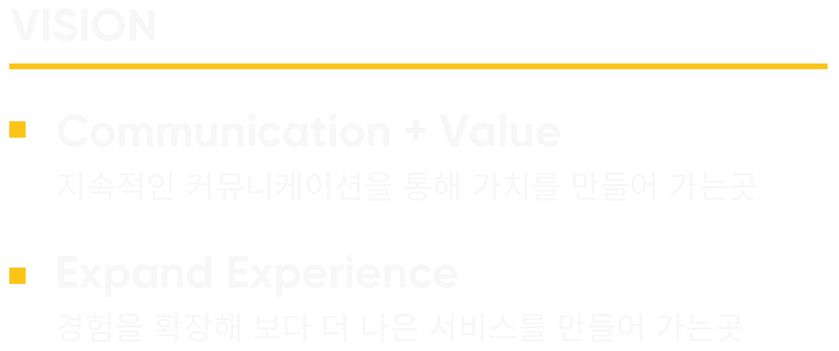 비전